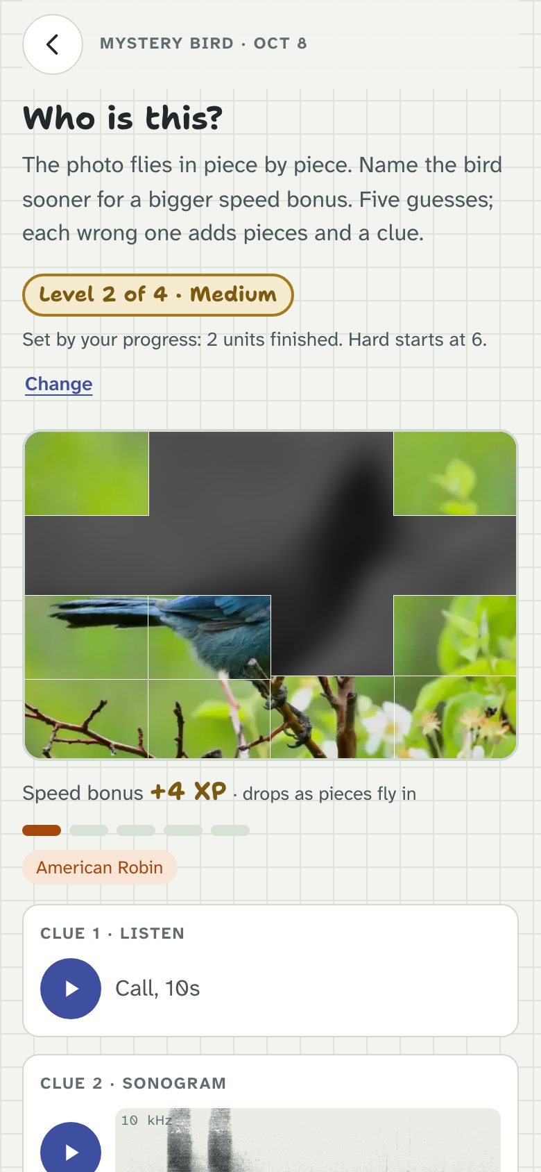 The mystery bird of the day, its photo partly flown in over the bird’s shadow, with the level and the speed bonus